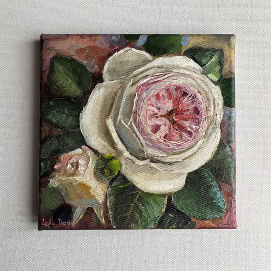 Pink roses still life