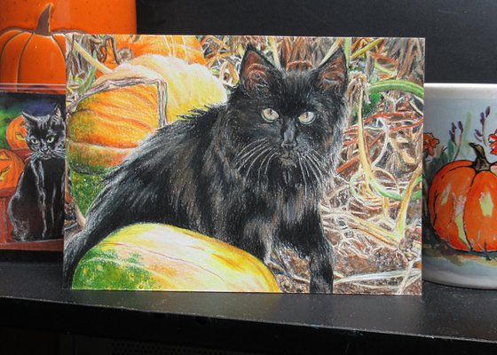 Kitty In The Pumpkin Patch