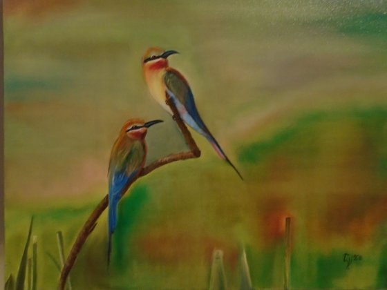 Bird duet