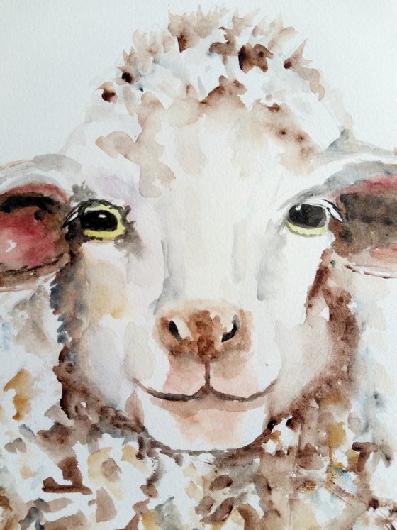 Sheep portrait.