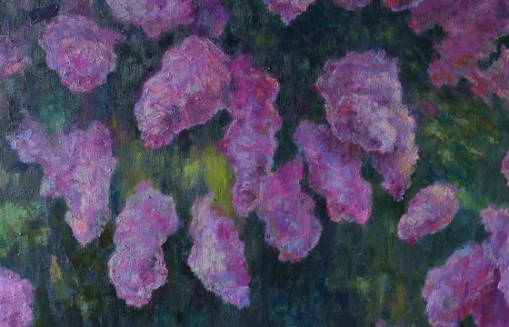 Lilacs Fading Into Light
