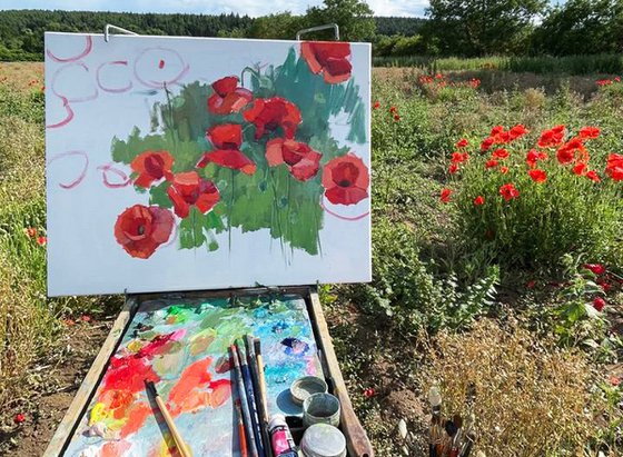 When The Sun Touches The Red