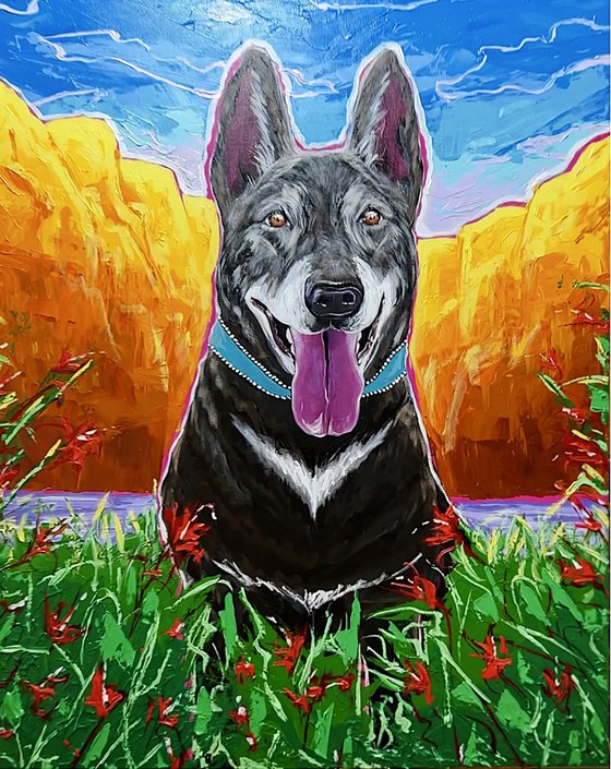 German Shepherd
