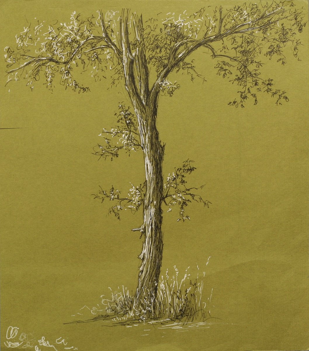 Tree on Green Paper by John Fleck