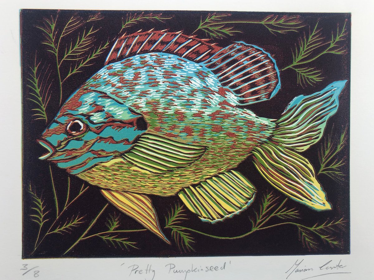 Pretty Pumpkinseed by Marian Carter