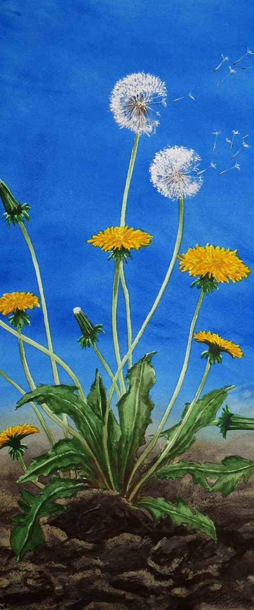 Dandelions by Eugene Gorbachenko