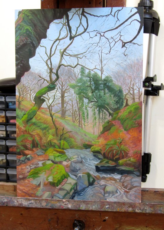 Lamb Woods