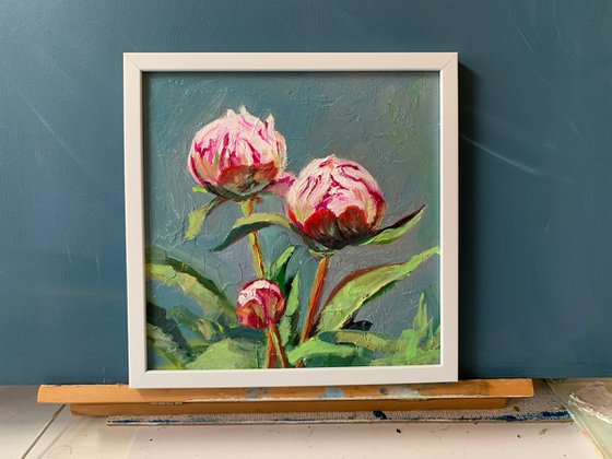 Peony. Flowers.