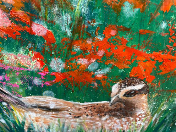 Female Pheasant at Dusk
