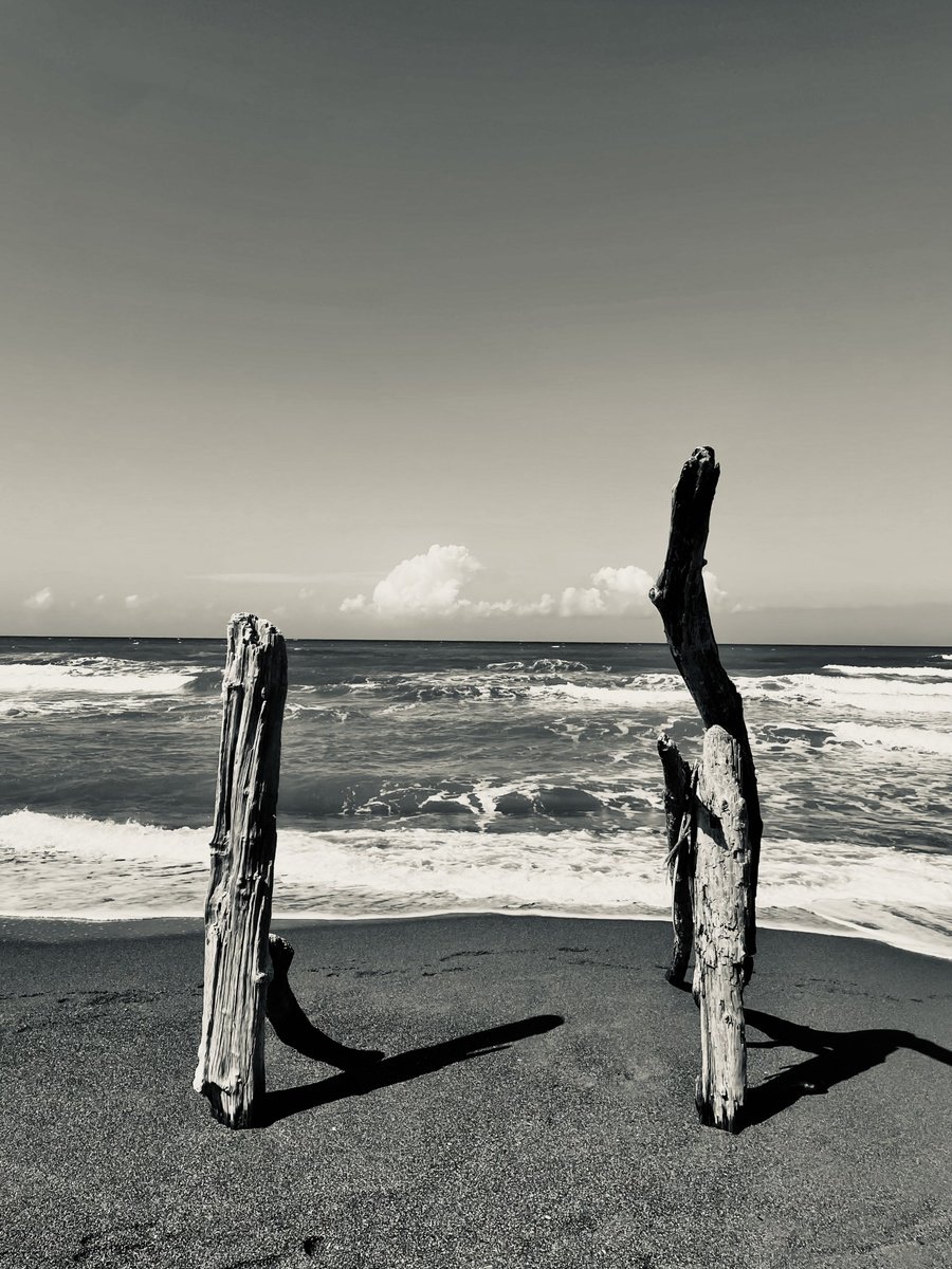 Photorealistic Photograph , Abc#199 Thoughts #4 By Mattia Paoli, 42 X 56, Artwork For Sale On Artfinder