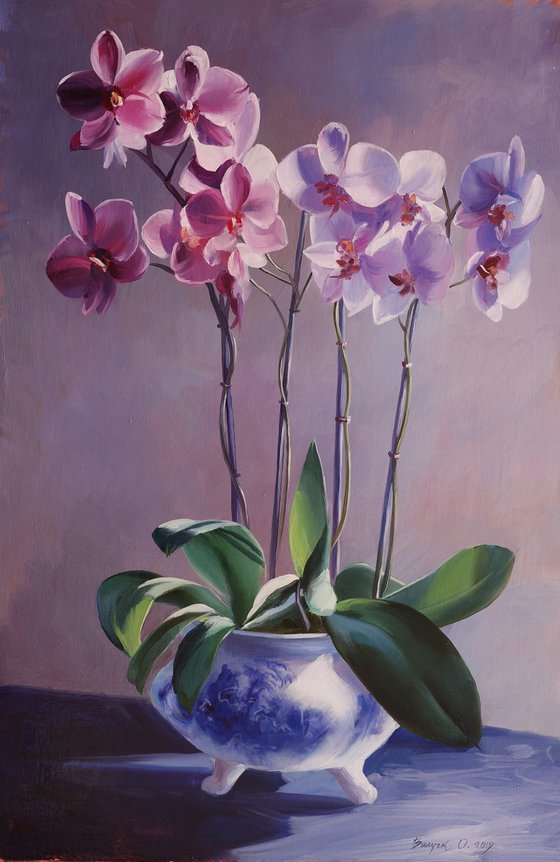 "Orchid"