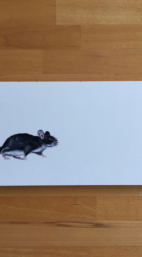 Little mouse by Lena Smirnova