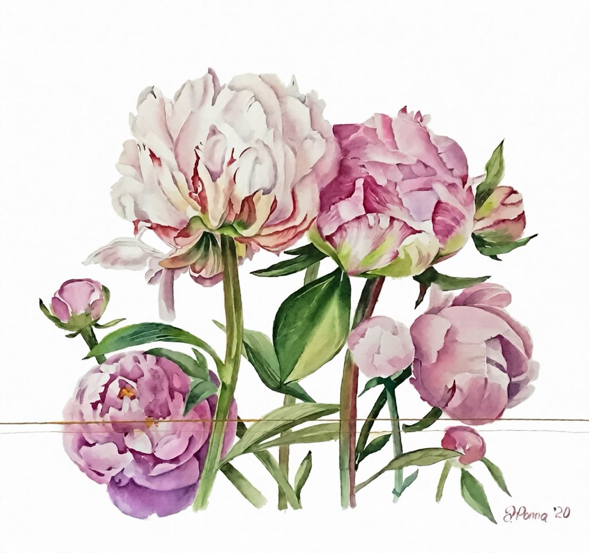 Photorealistic Botanical Watercolour By Irina Ponna, 22 X 22, A Kiss, Original Artwork