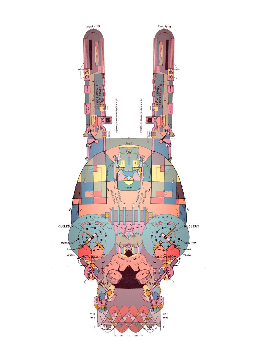 Lepus nucleus curpaeums by Crump