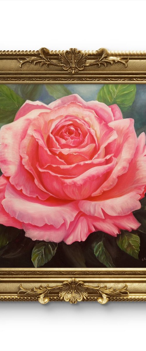 Bloom of Silence by Olga Valenzuela