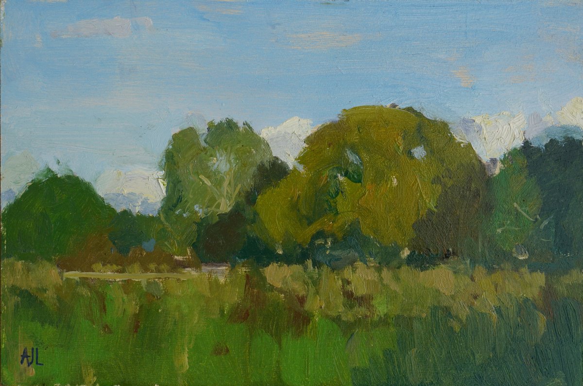 Impressionistic Landscape Oil Painting By Alex James Long, 12 X 8, Autumn Trees, The Moors, Original Artwork