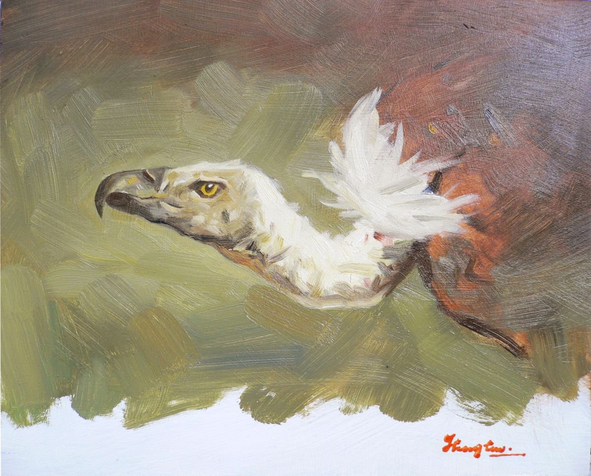 Impressionistic Animal Oil Painting By Hongtao Huang, 10 X 8, Vulture, Original Artwork