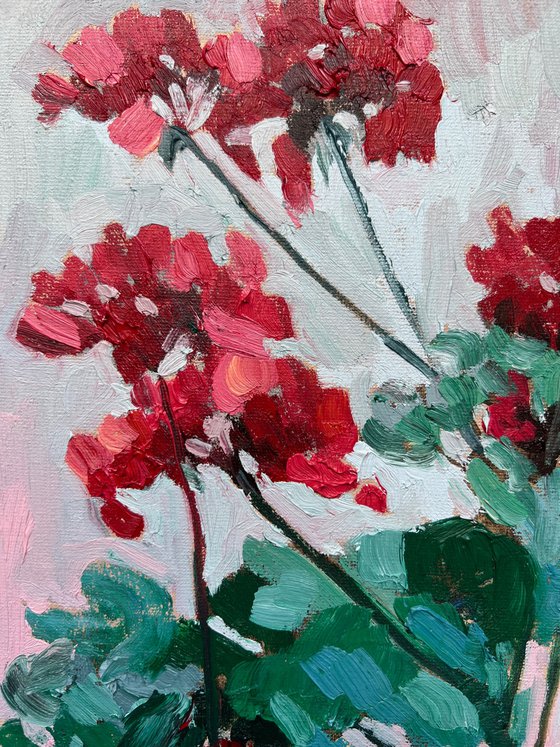 Geranium