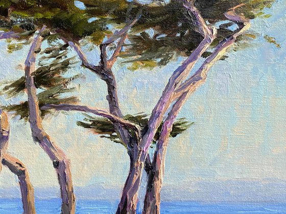 Coastal Cypress Swing Landscape