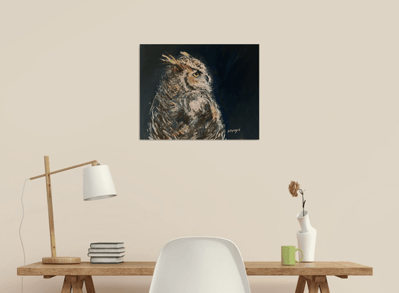 Owl