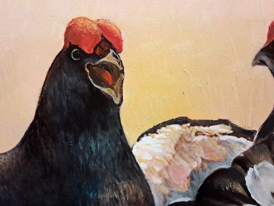 BLACK GROUSE ON THE LEK / MAN-TO-MAN TALK