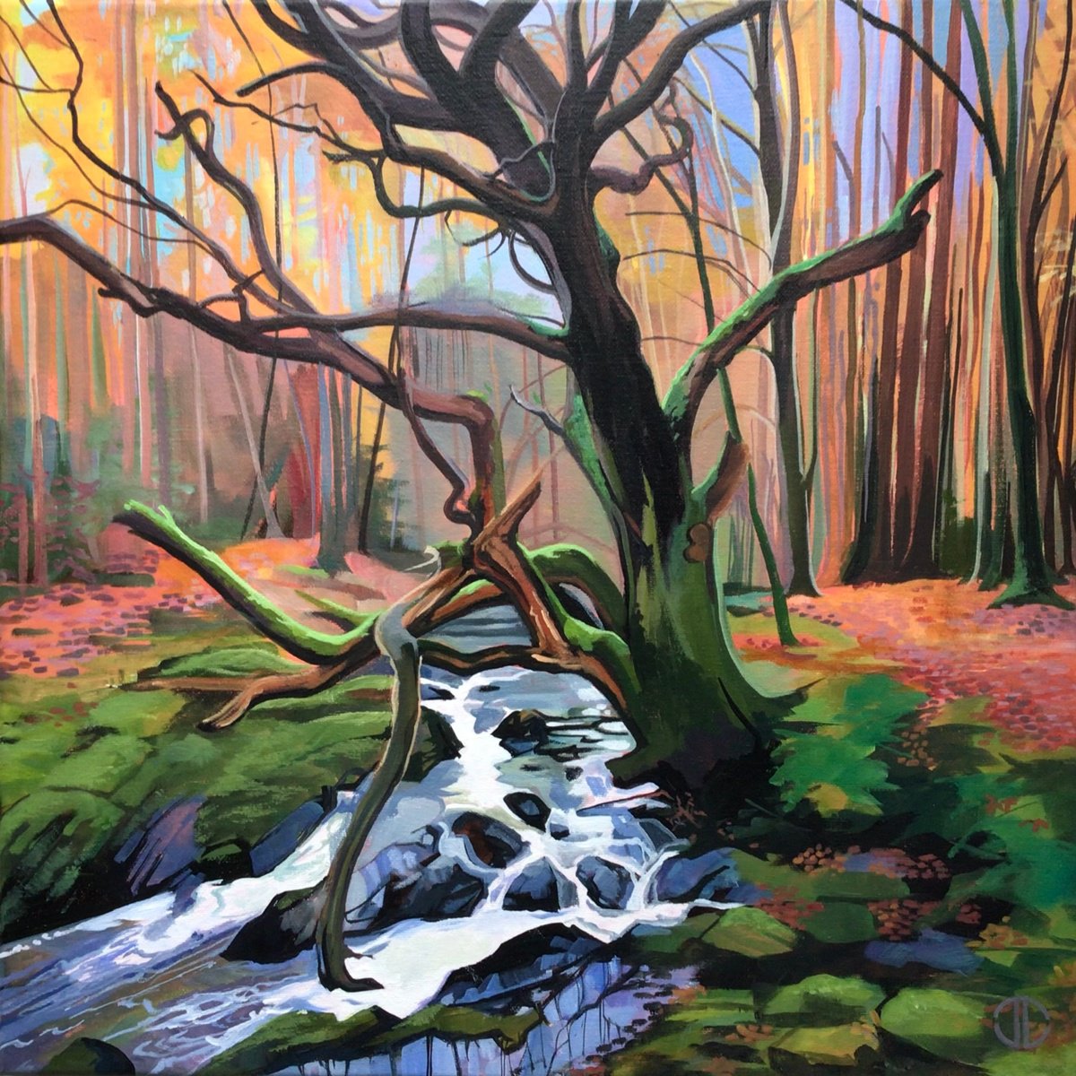  The Old Oak On The Shimna By Joseph Lynch, 20 X 20, Artwork For Sale On Artfinder