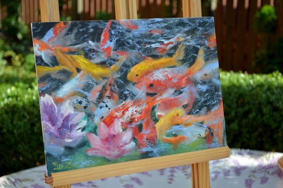 A koi paradise