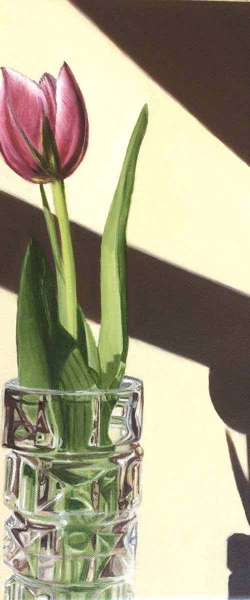 Tulip and Light by Ira Whittaker