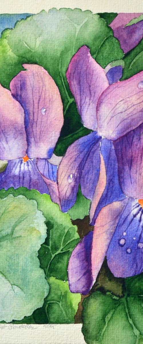 Spring Flowers3 - Violets by Anna Masiul-Gozdecka