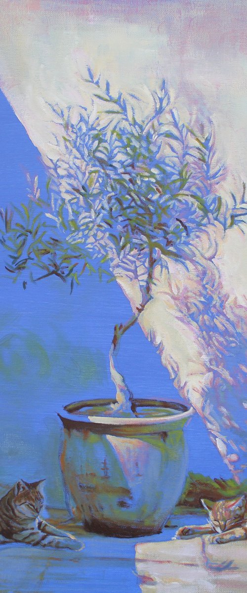 Greek Kittys #11 by Timothy Adam Matthews