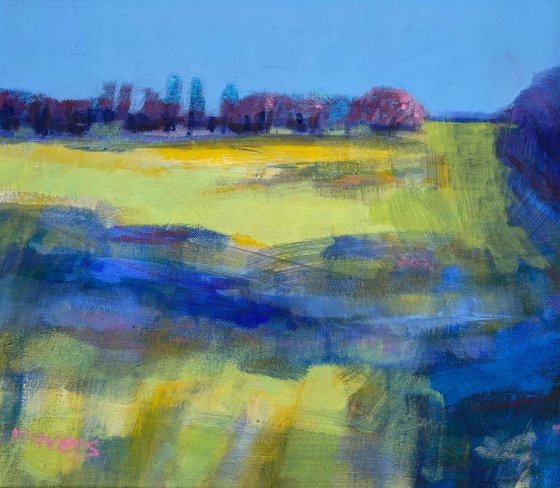 Hawthorn Hedge