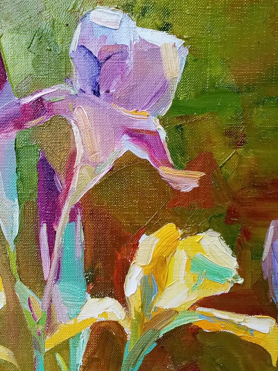 " irises flowers "