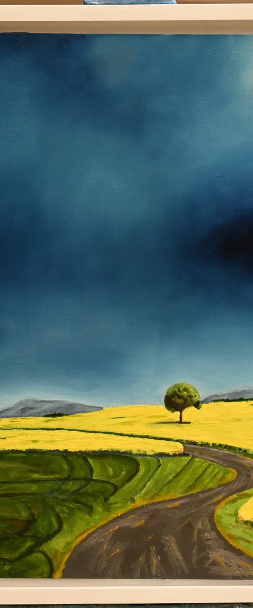 Field of Yellow by Mike Dudfield