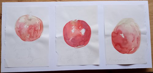 Trio of British apples by Hannah Clark