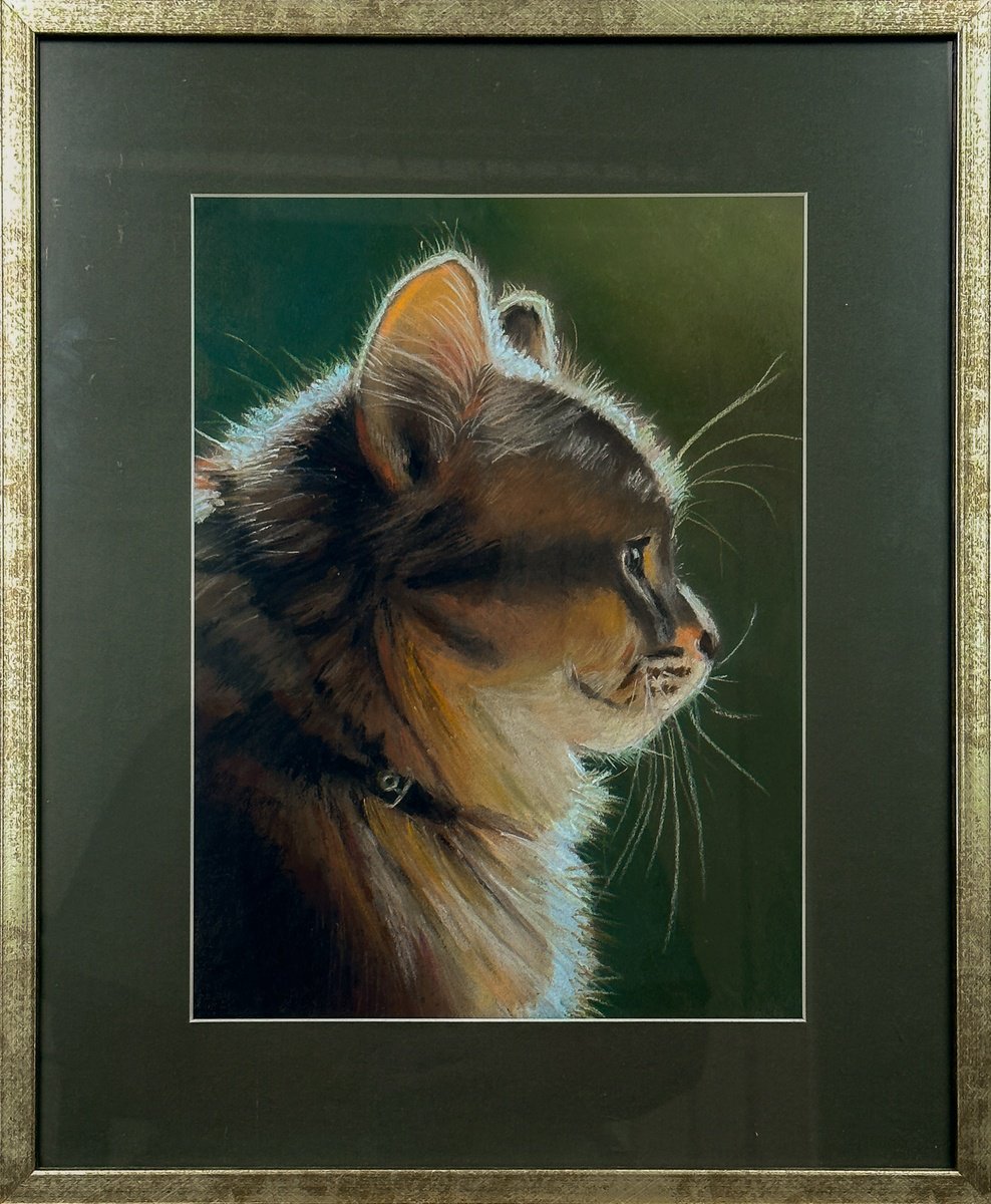 Portrait of a Cat by Catherine Varadi