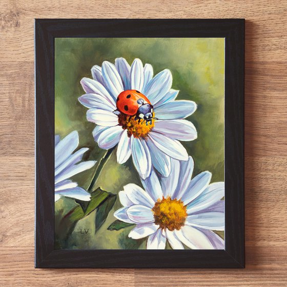 Ladybug on white daisy flowers