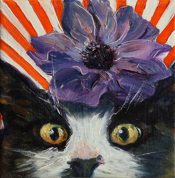 Cat with anemone