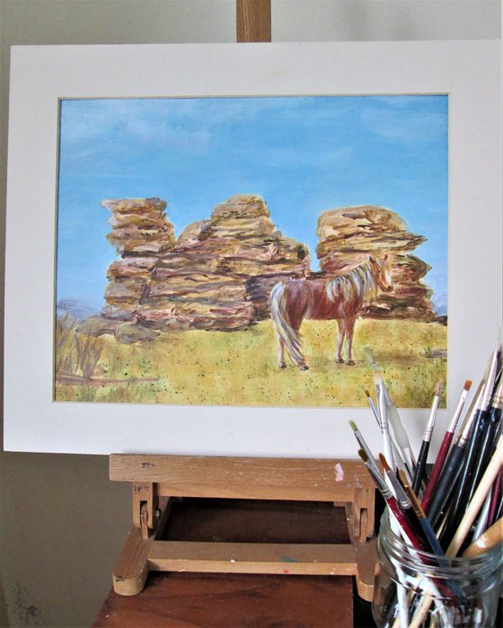 Wild Dartmoor Pony and Tor