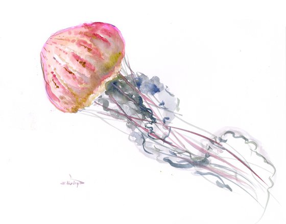 Jellyfish