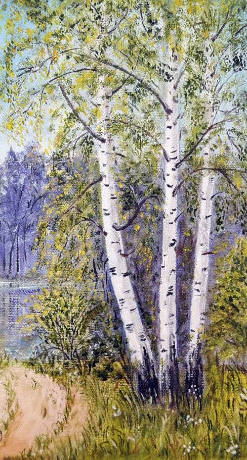 Birch grove in summer by Luba Ostroushko