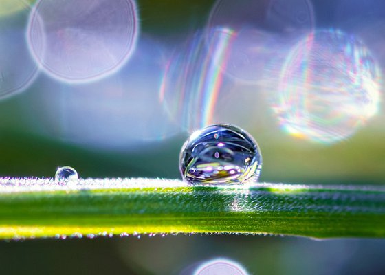 Shine - Studio Edition