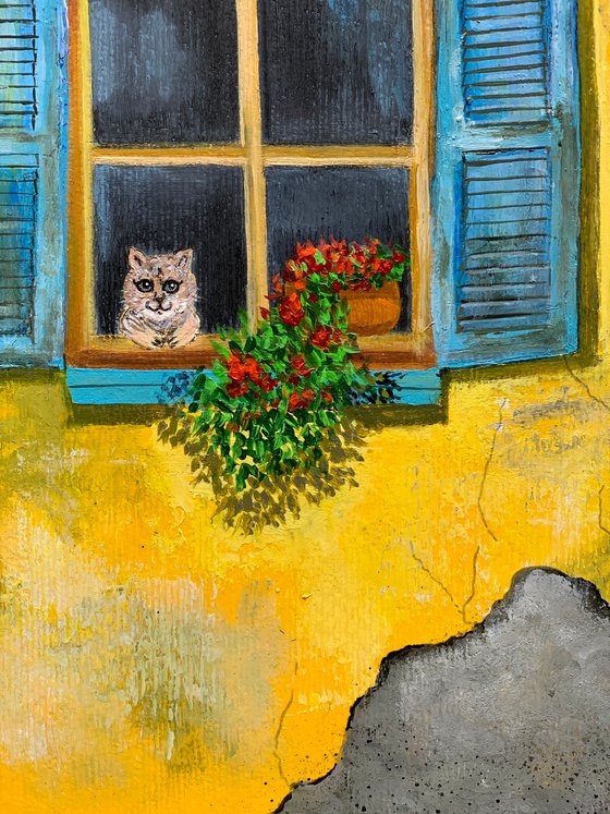 Cat in window!