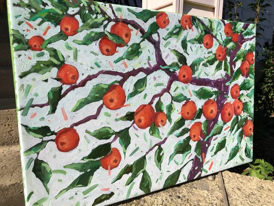 Garden symphony, apples