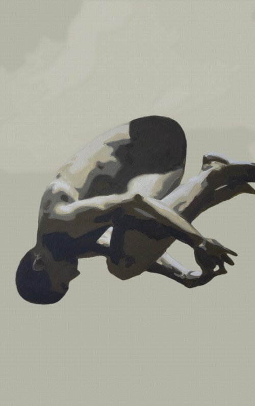 Somersault by Daniel Gibert