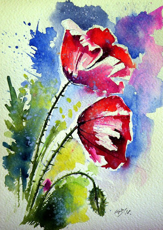 Poppy flowers