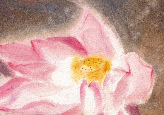 Lotus
