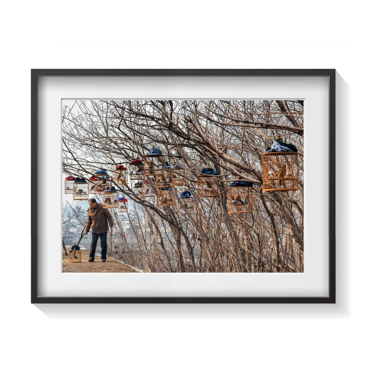 Photorealistic Photograph , Birdcages (Framed) 5/50 By Serge Horta, 23 X 17, Artwork For Sale On Artfinder