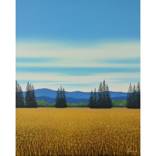 Gold Meadow - Blue Sky Landscape by Suzanne Vaughan