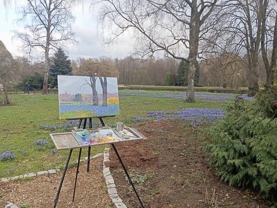 Blue primroses