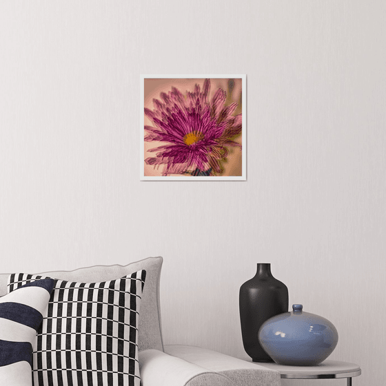 Abstract Flowers #1. Limited Edition 1/25 12x12 inch Photographic Print.